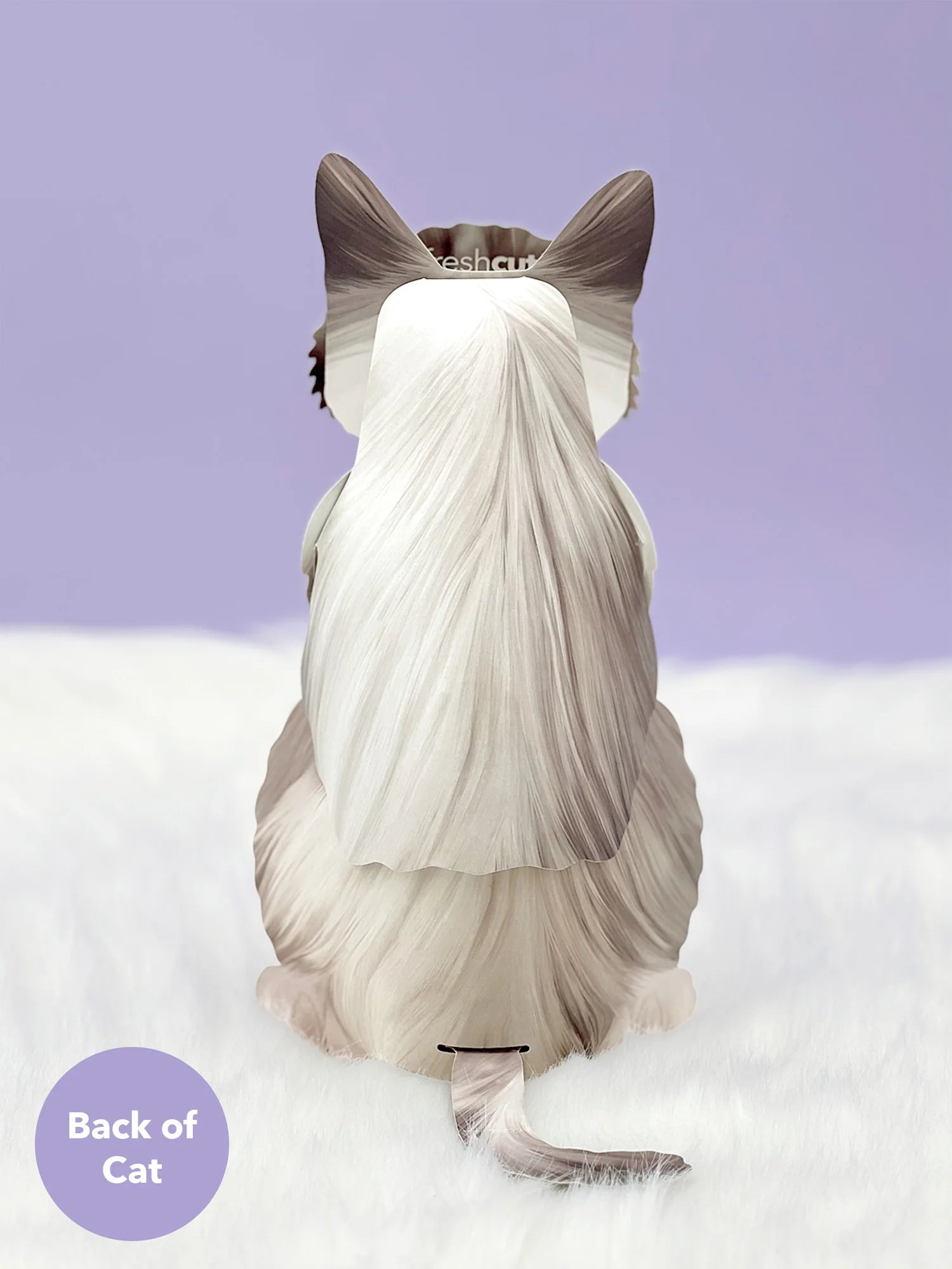 Ragdoll Cat Pop - Up Pet Card - bubblegum market