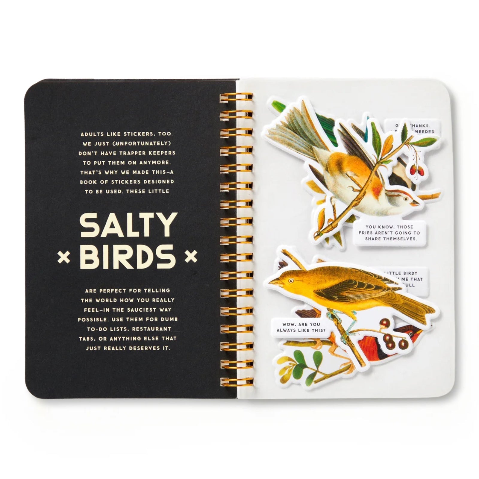Salty Birds Sticker Book - bubblegum market