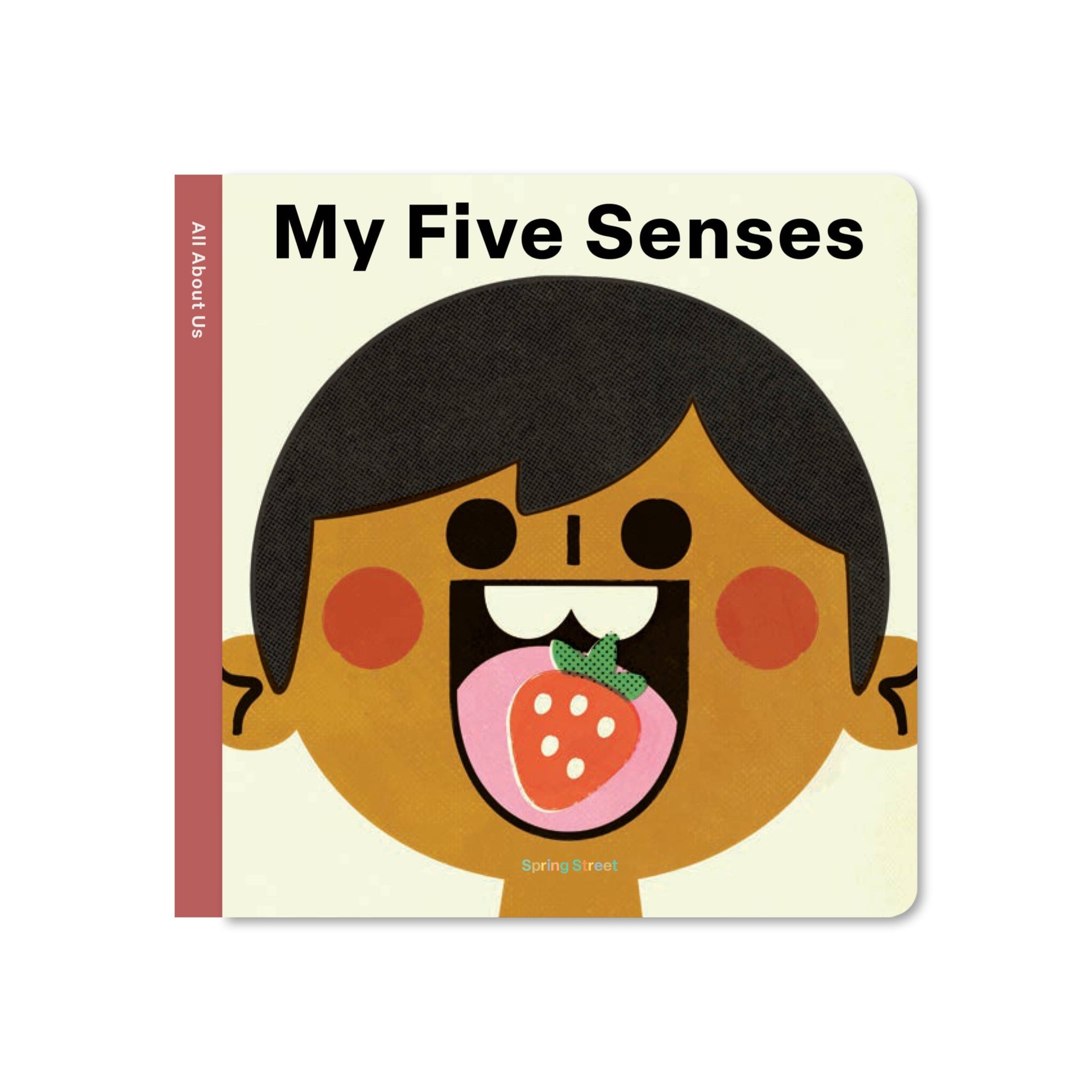 Spring Street All About Us: My Five Senses by Boxer Books - bubblegum market
