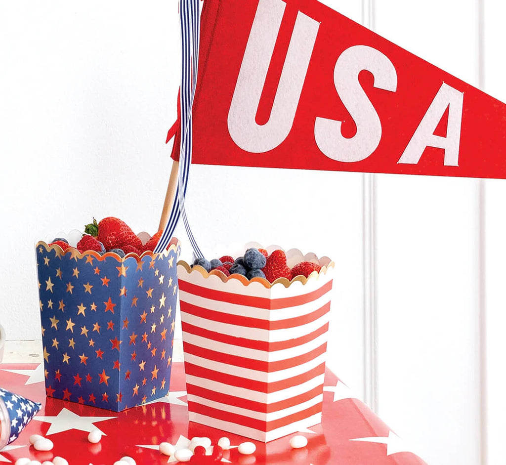 stars-stripes-treat-boxes-july-4th-USA-felt-parade-pennant-flag-styled