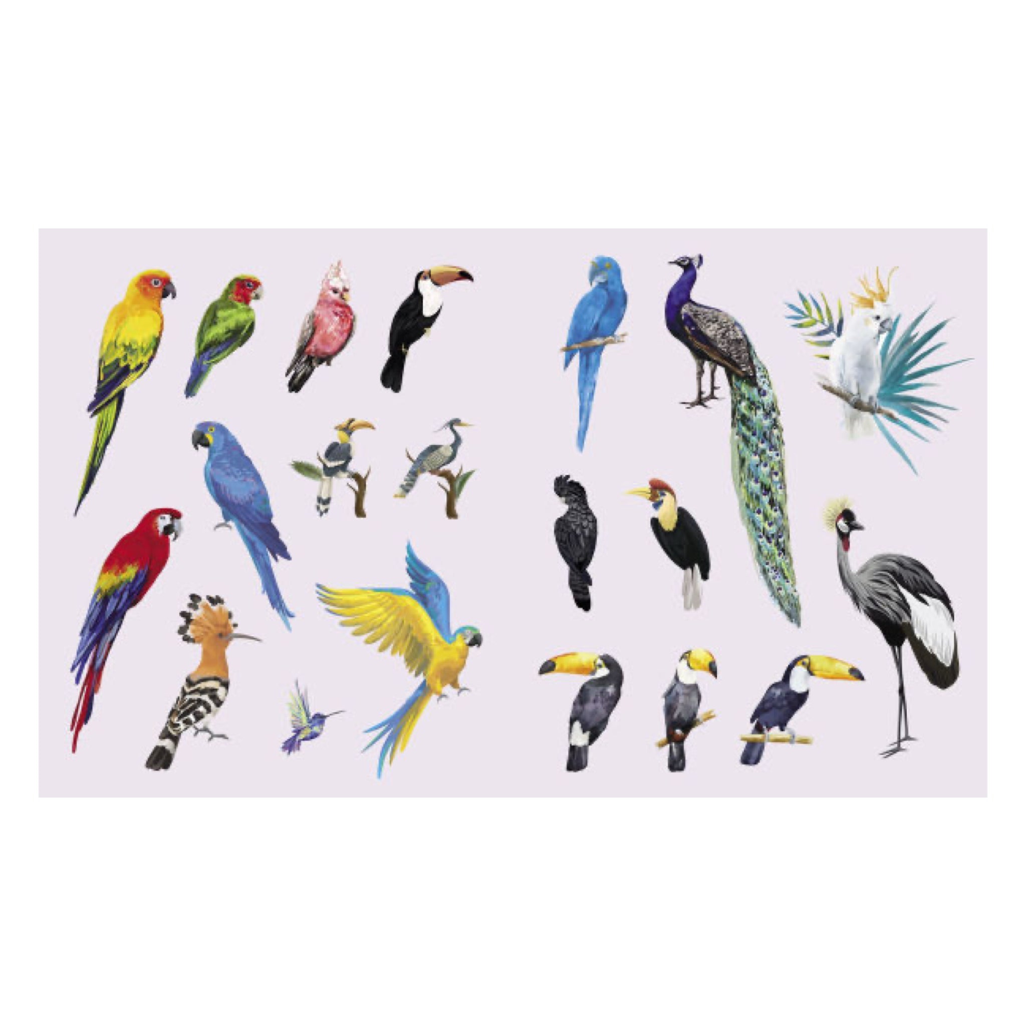 Sticker Studio: Menagerie Animal Kingdom Gallery - bubblegum market