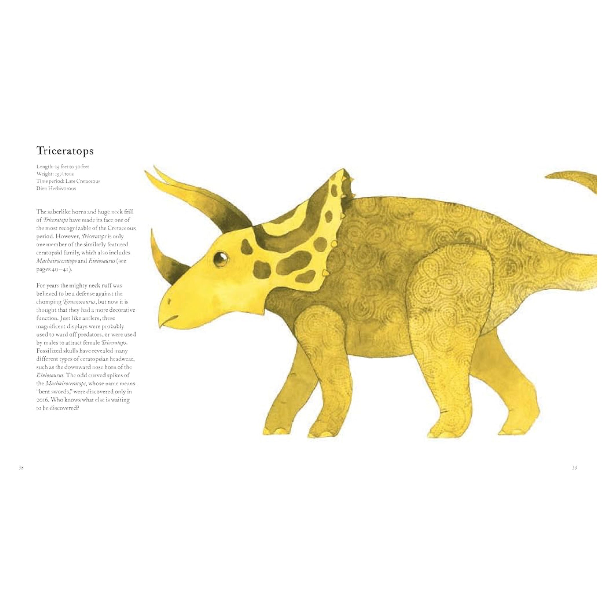 The Colorful World of Dinosaurs - bubblegum market