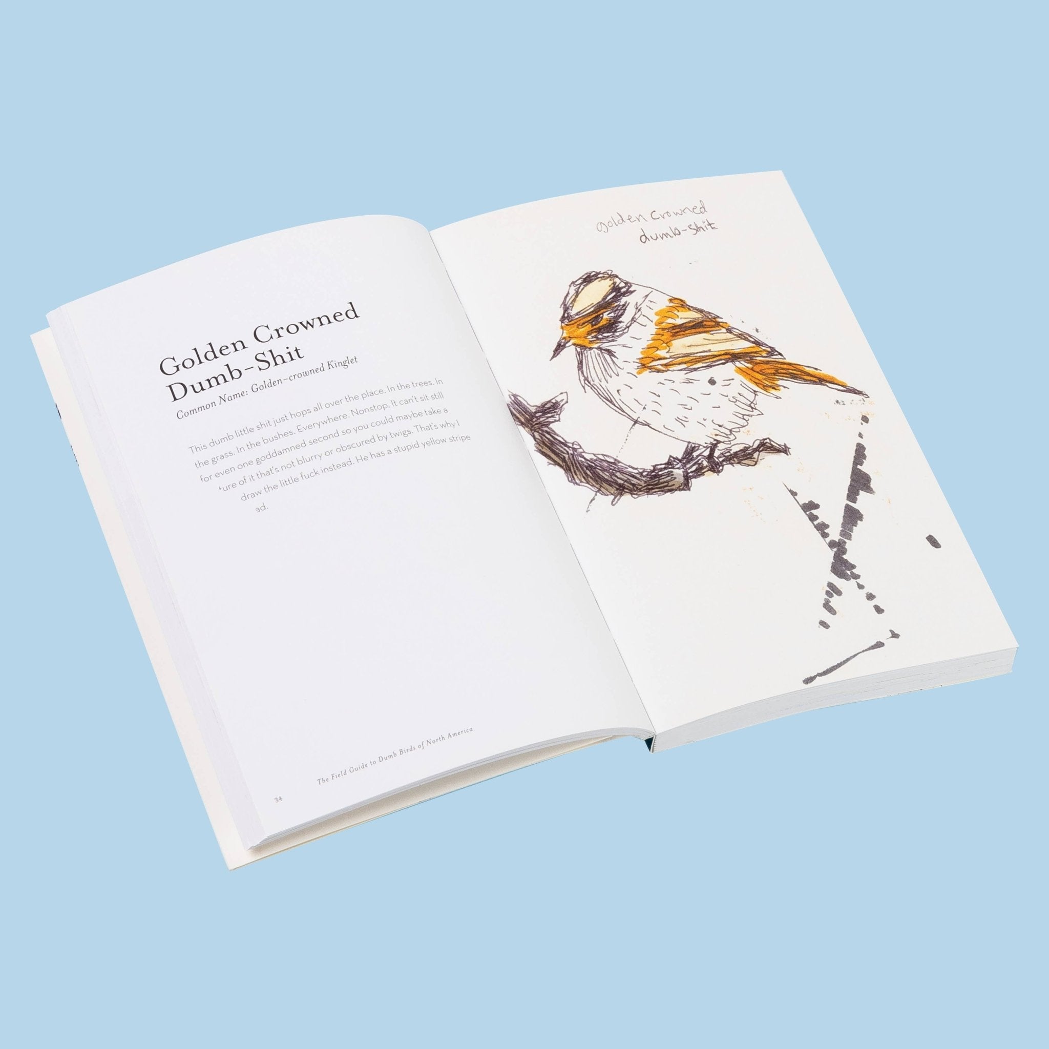 The Field Guide to Dumb Birds of America - bubblegum market