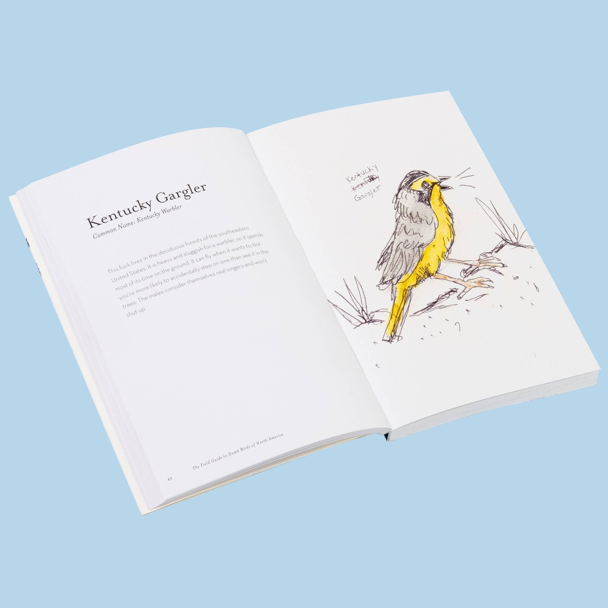 The Field Guide to Dumb Birds of America - bubblegum market