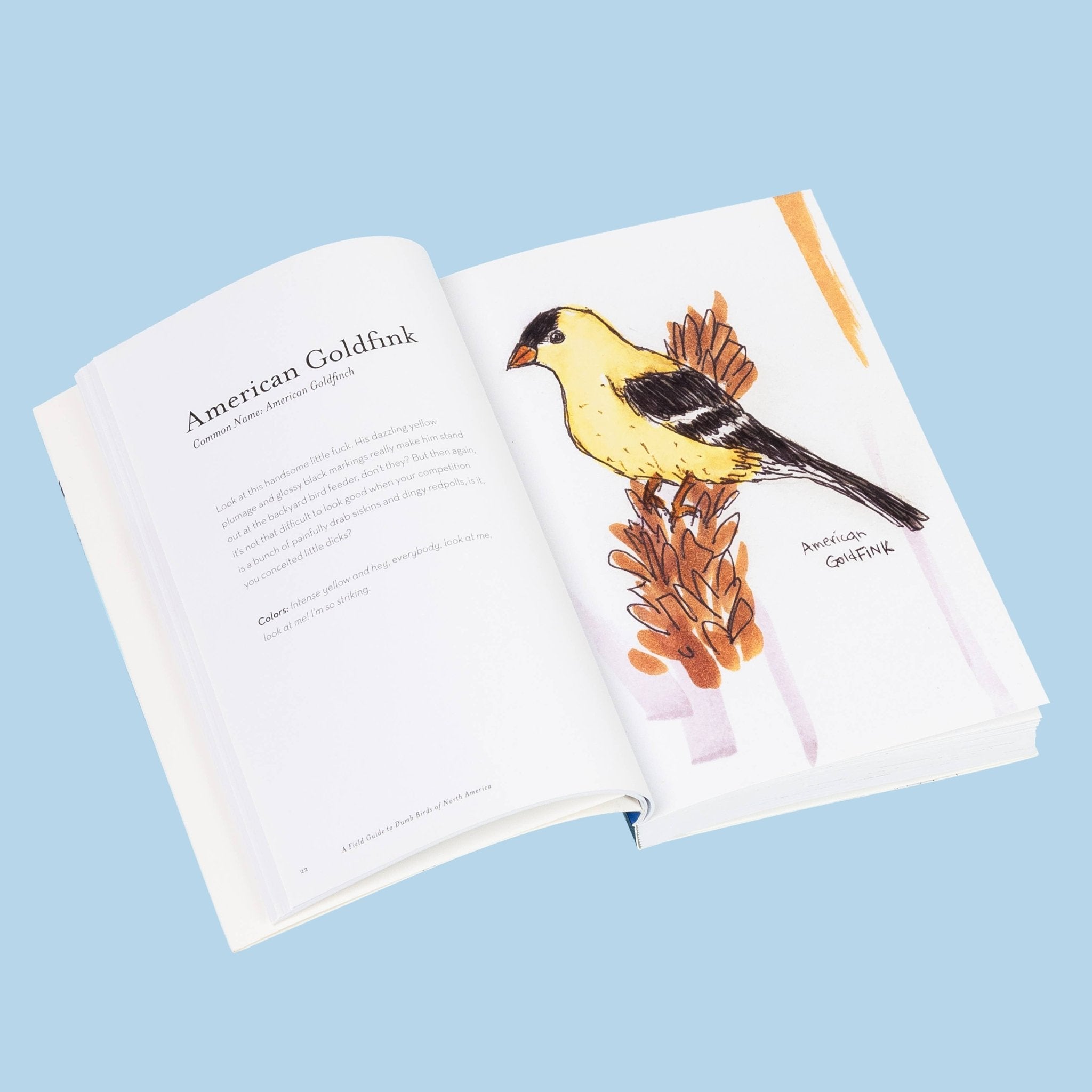 The Field Guide to Dumb Birds of America - bubblegum market