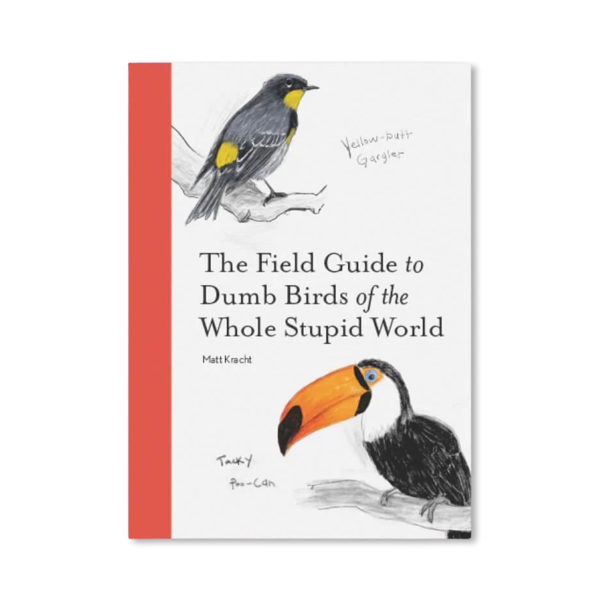 The Field Guide to Dumb Birds of the Whole Stupid World - bubblegum market