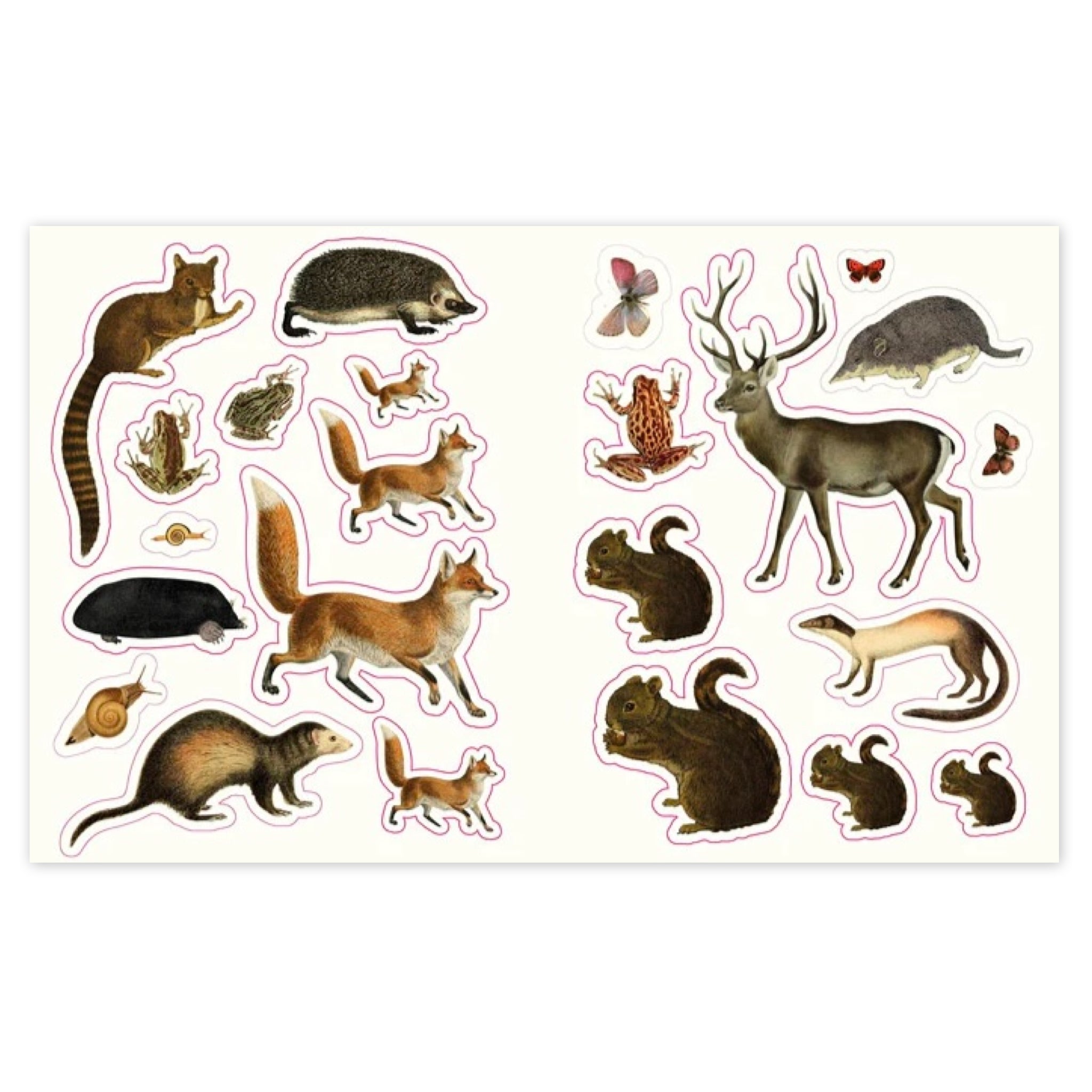 The Forests, Fairies & Fungi Sticker Anthology - bubblegum market