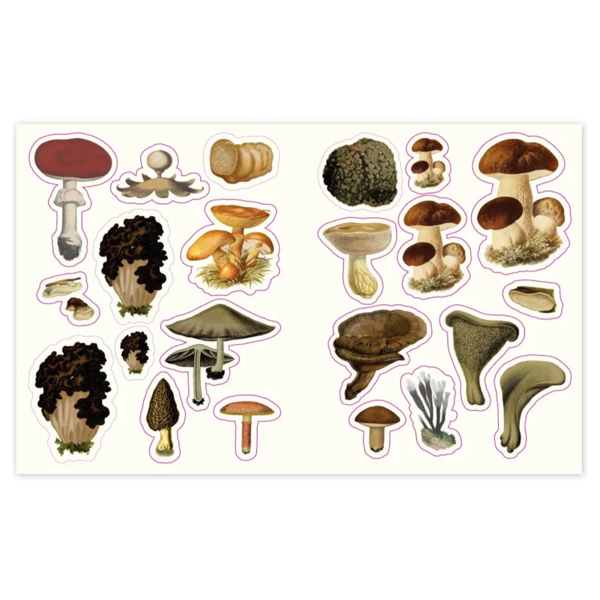 The Forests, Fairies & Fungi Sticker Anthology - bubblegum market