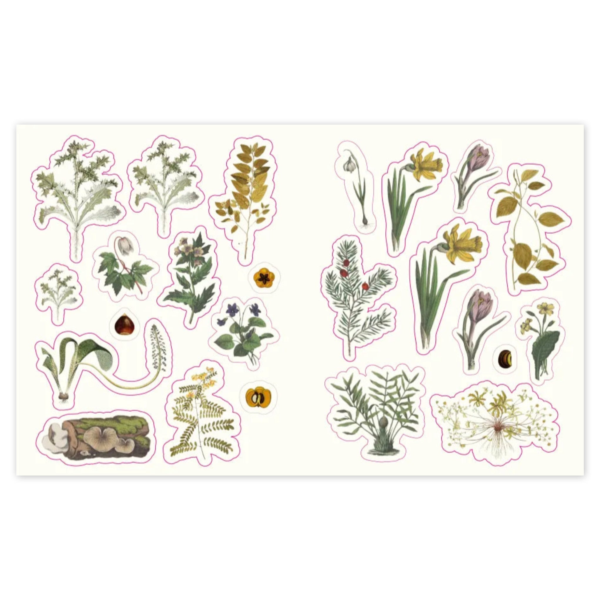 The Forests, Fairies & Fungi Sticker Anthology - bubblegum market