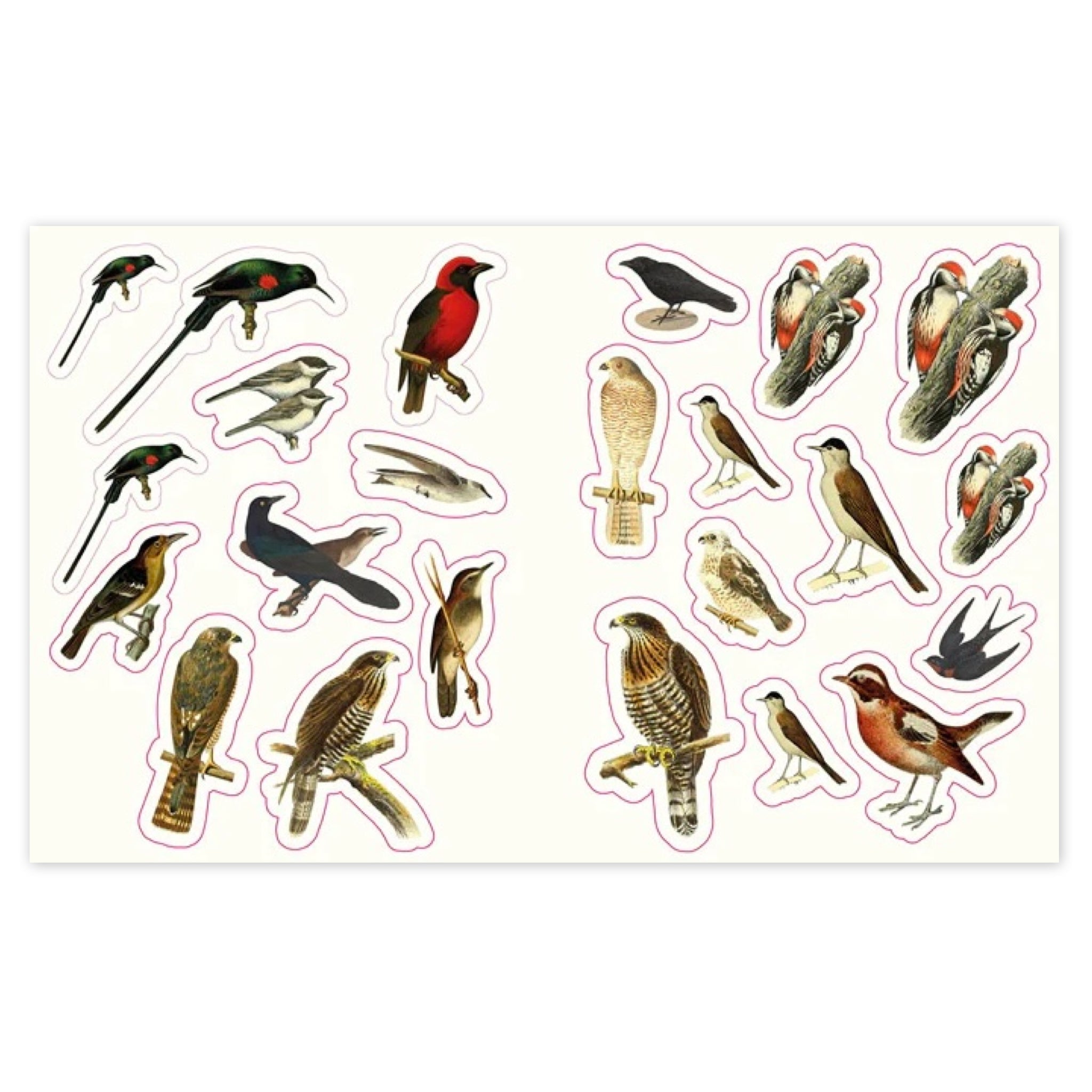 The Forests, Fairies & Fungi Sticker Anthology - bubblegum market