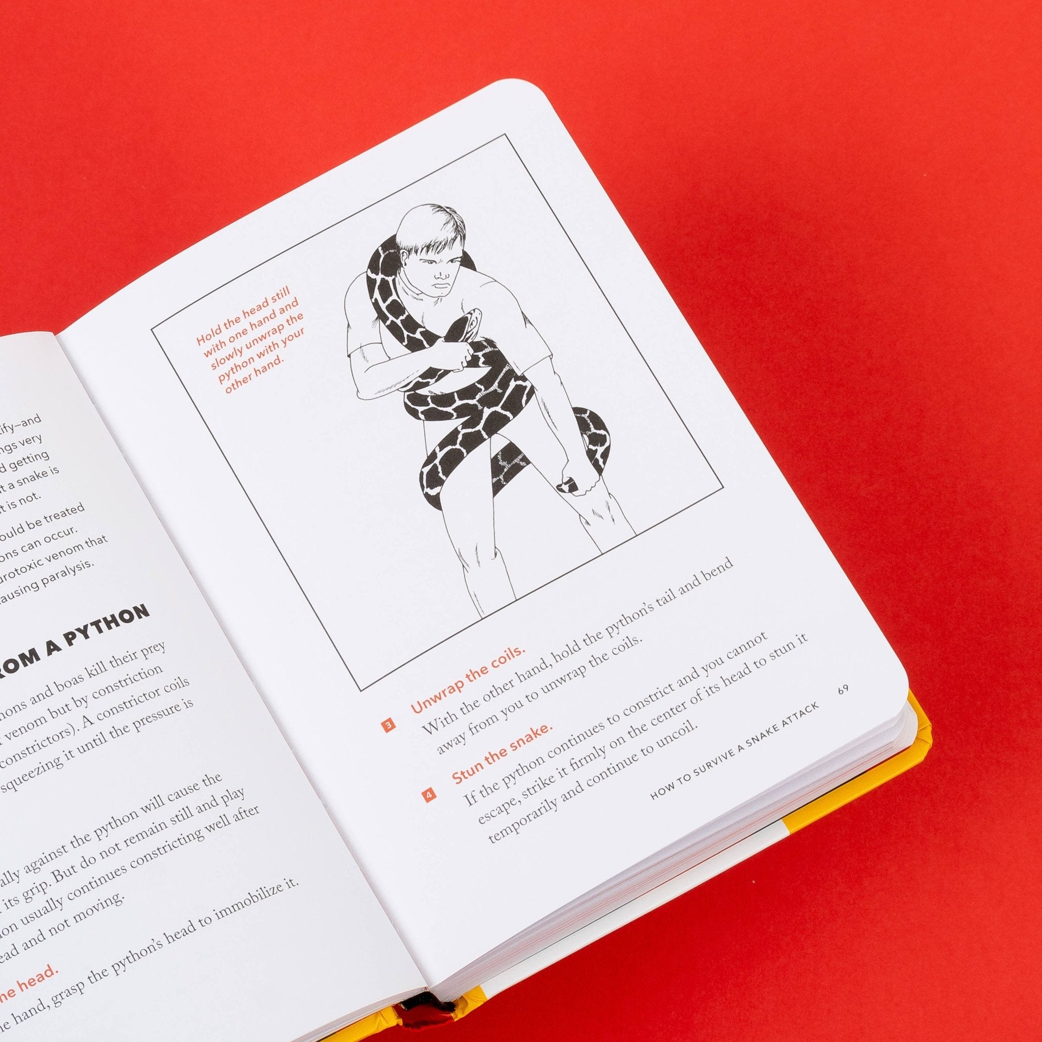 The NEW Worst - Case Scenario Survival Handbook - bubblegum market