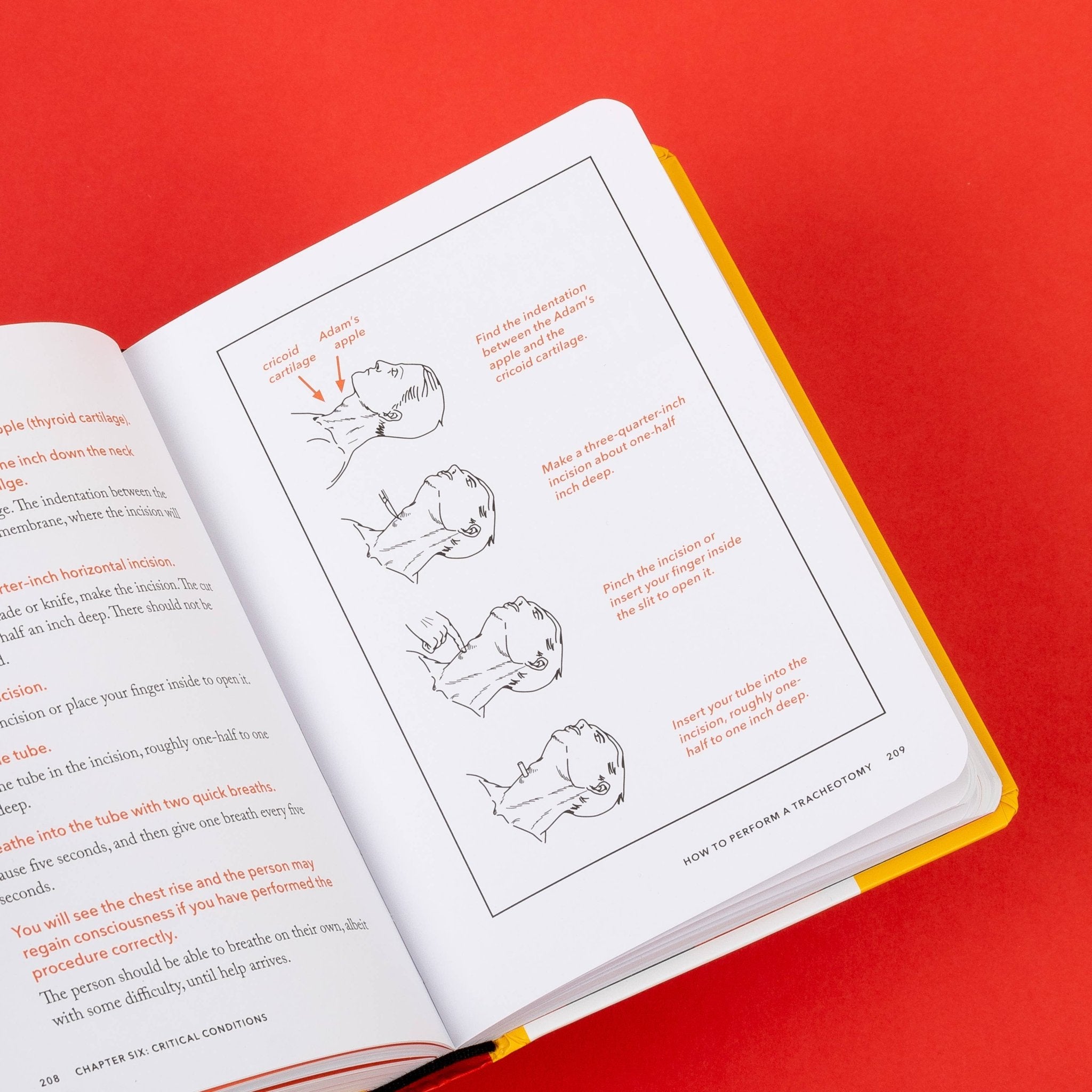 The NEW Worst - Case Scenario Survival Handbook - bubblegum market