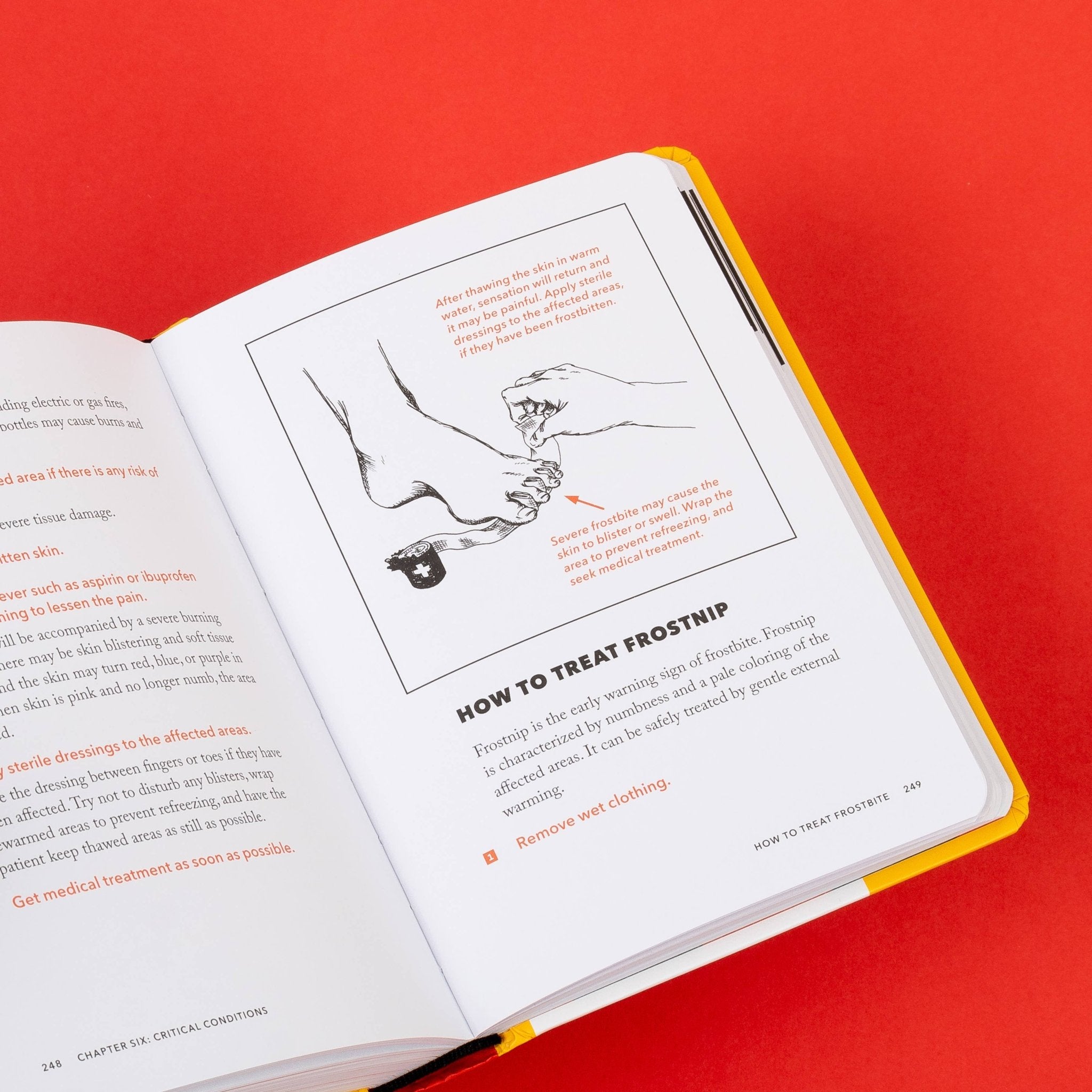 The NEW Worst - Case Scenario Survival Handbook - bubblegum market