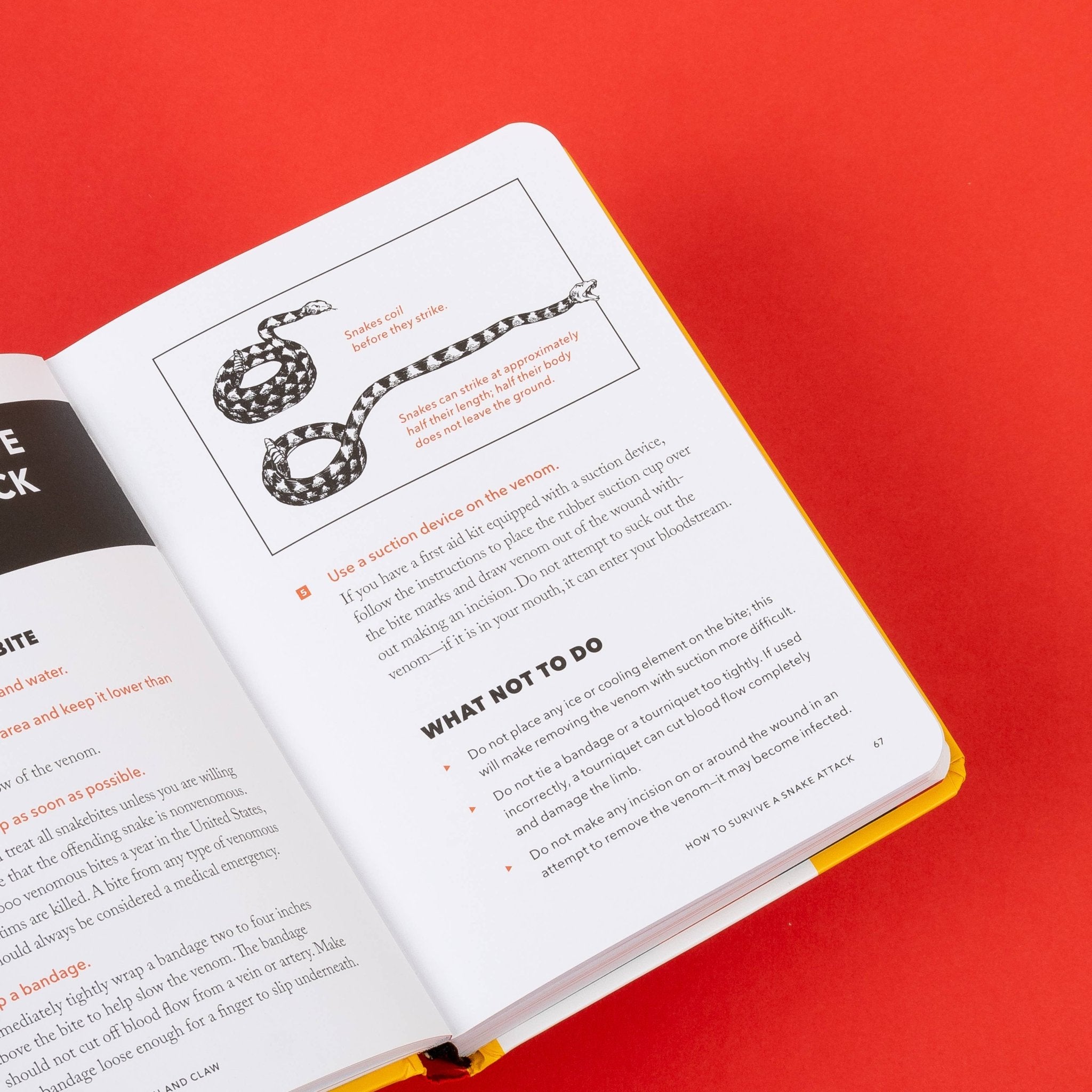 The NEW Worst - Case Scenario Survival Handbook - bubblegum market