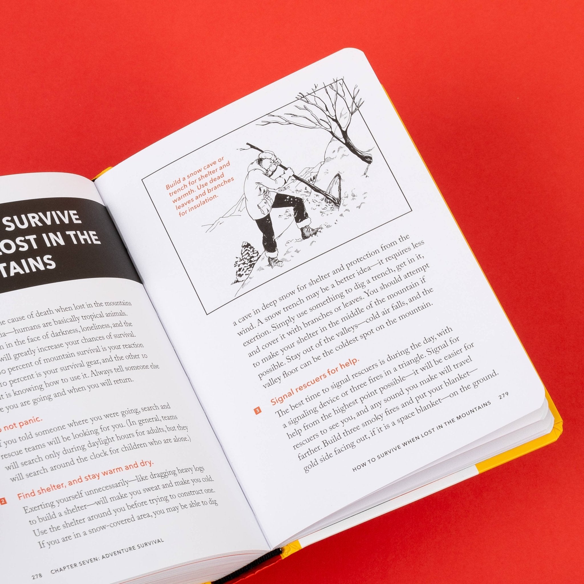 The NEW Worst - Case Scenario Survival Handbook - bubblegum market