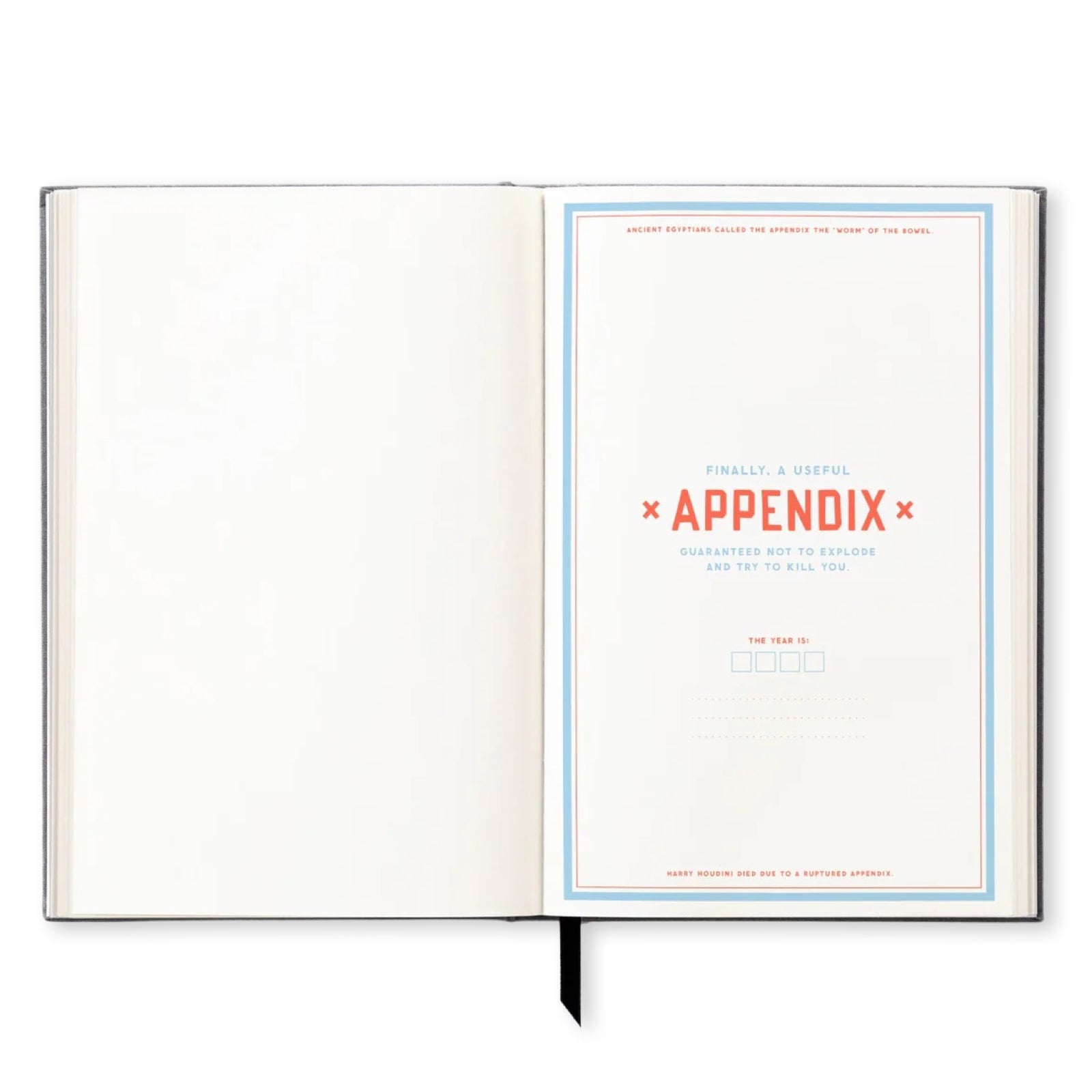 The Perpetually Late Show Undated Planner - bubblegum market