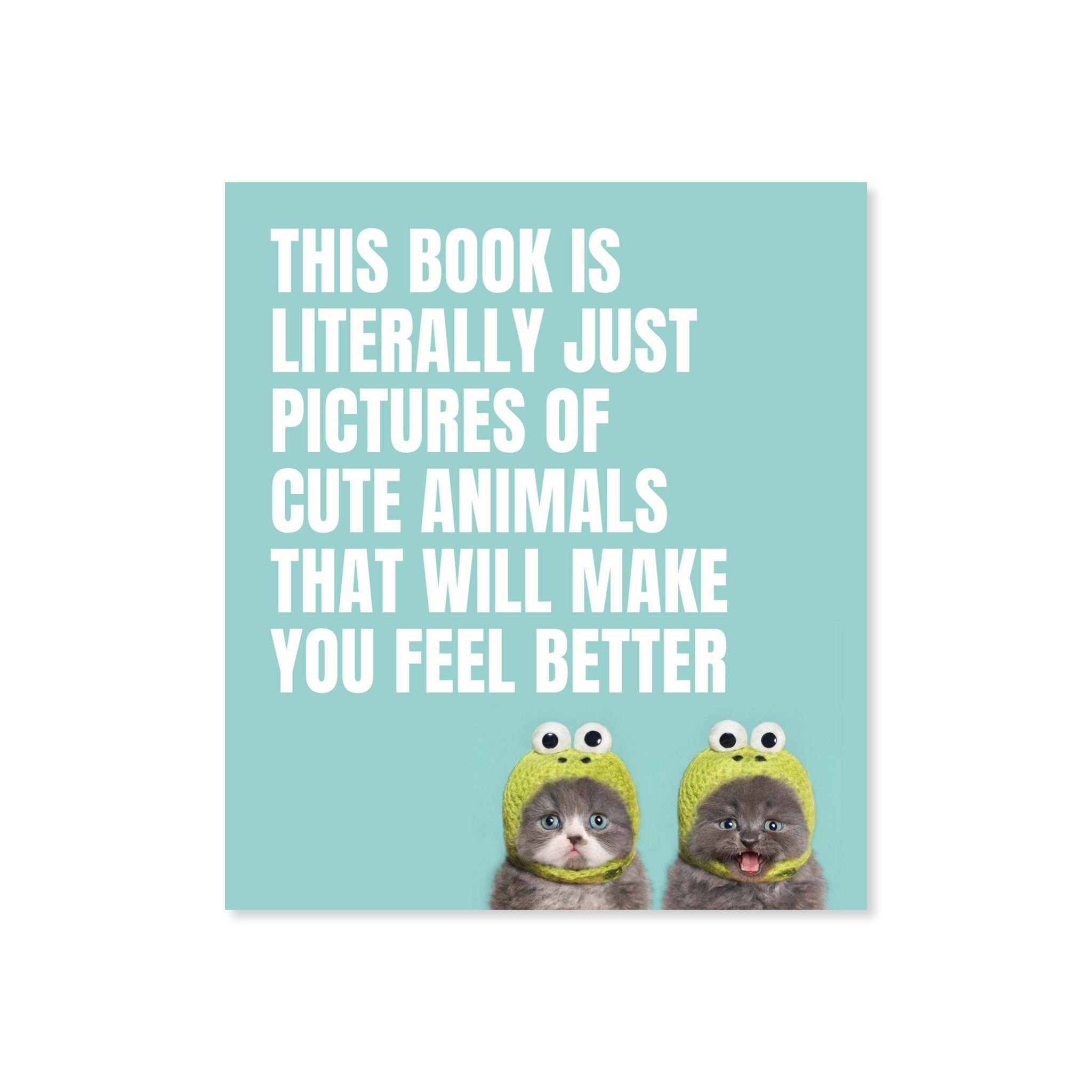 This Book Is Literally Just Pictures Of Cute Animals That Will Make You Feel Better - bubblegum market