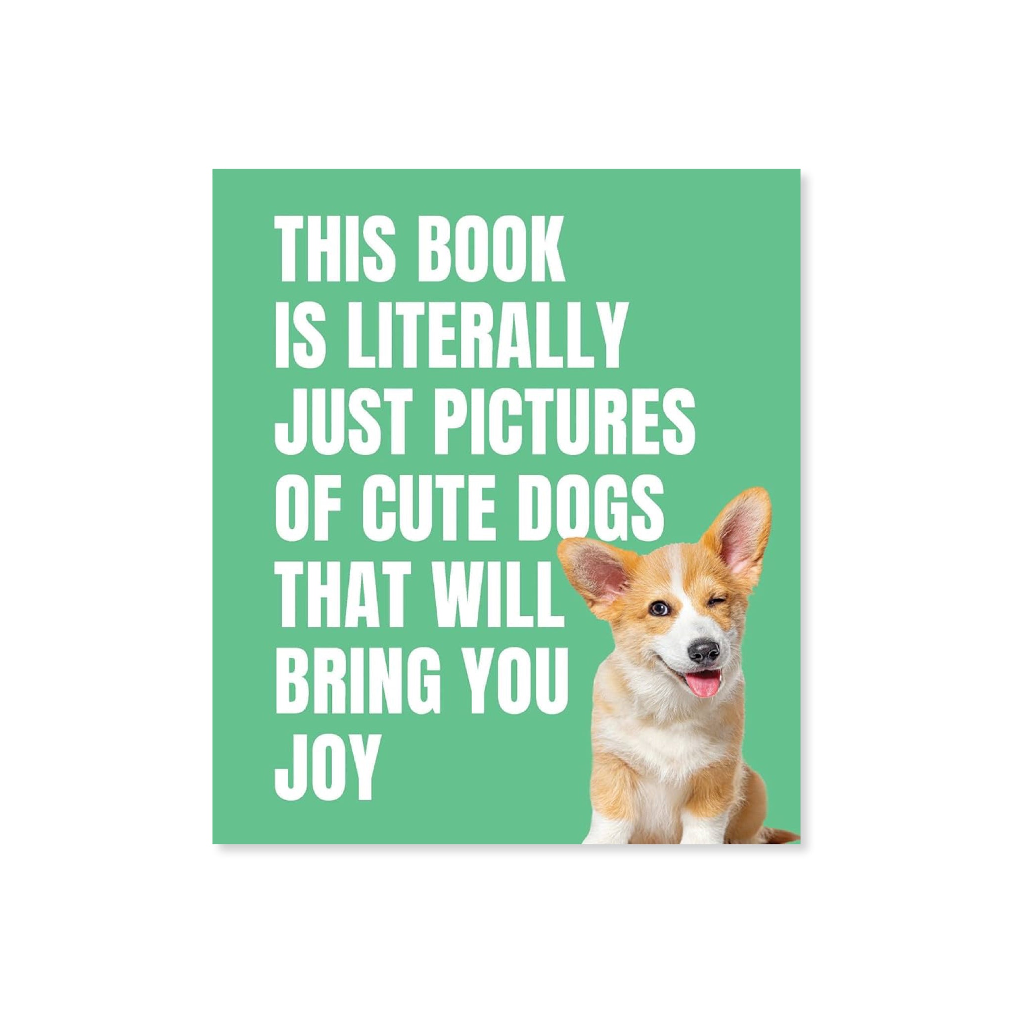 This Book Is Literally Just Pictures Of Cute Dogs That Will Bring You Joy - bubblegum market