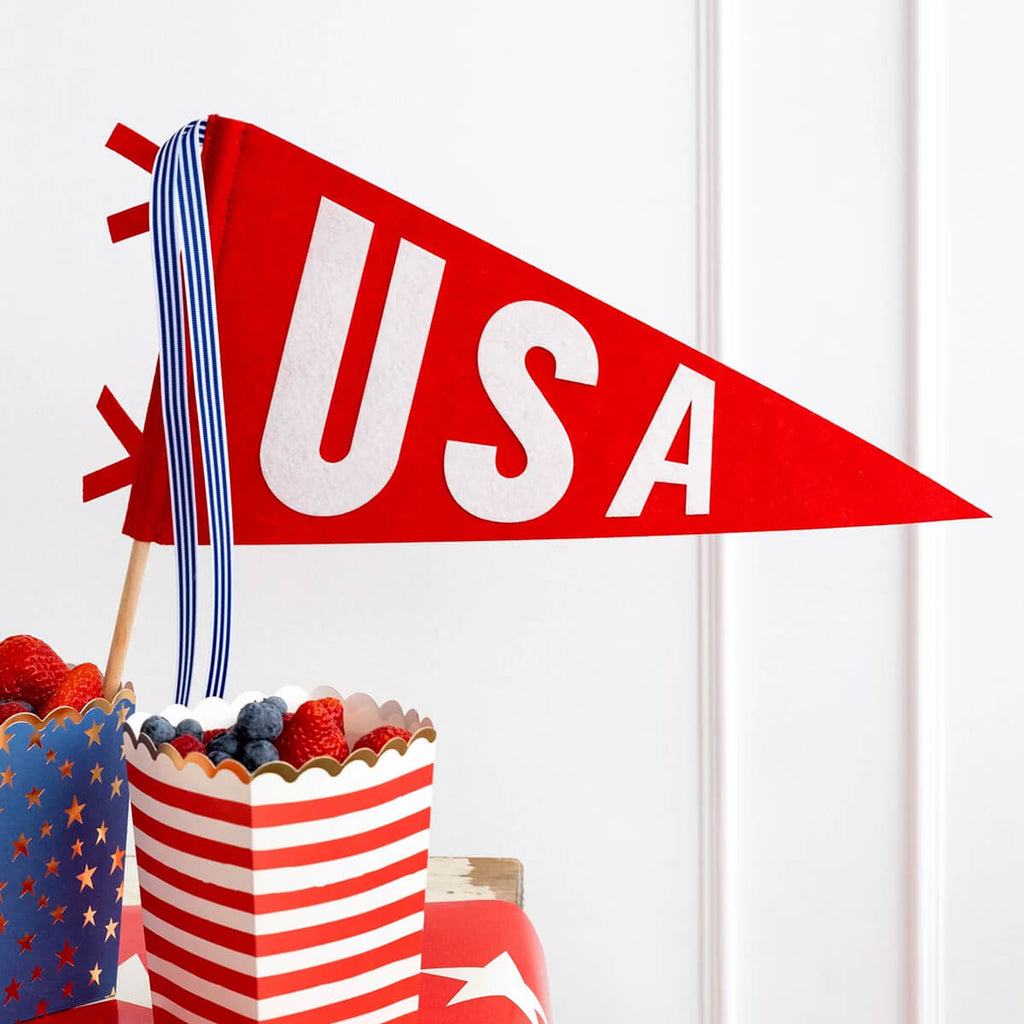 usa-felt-pennant-flag-parade-banner-4th-of-july-memorial-day-my-minds-eye-tabletop-decoration