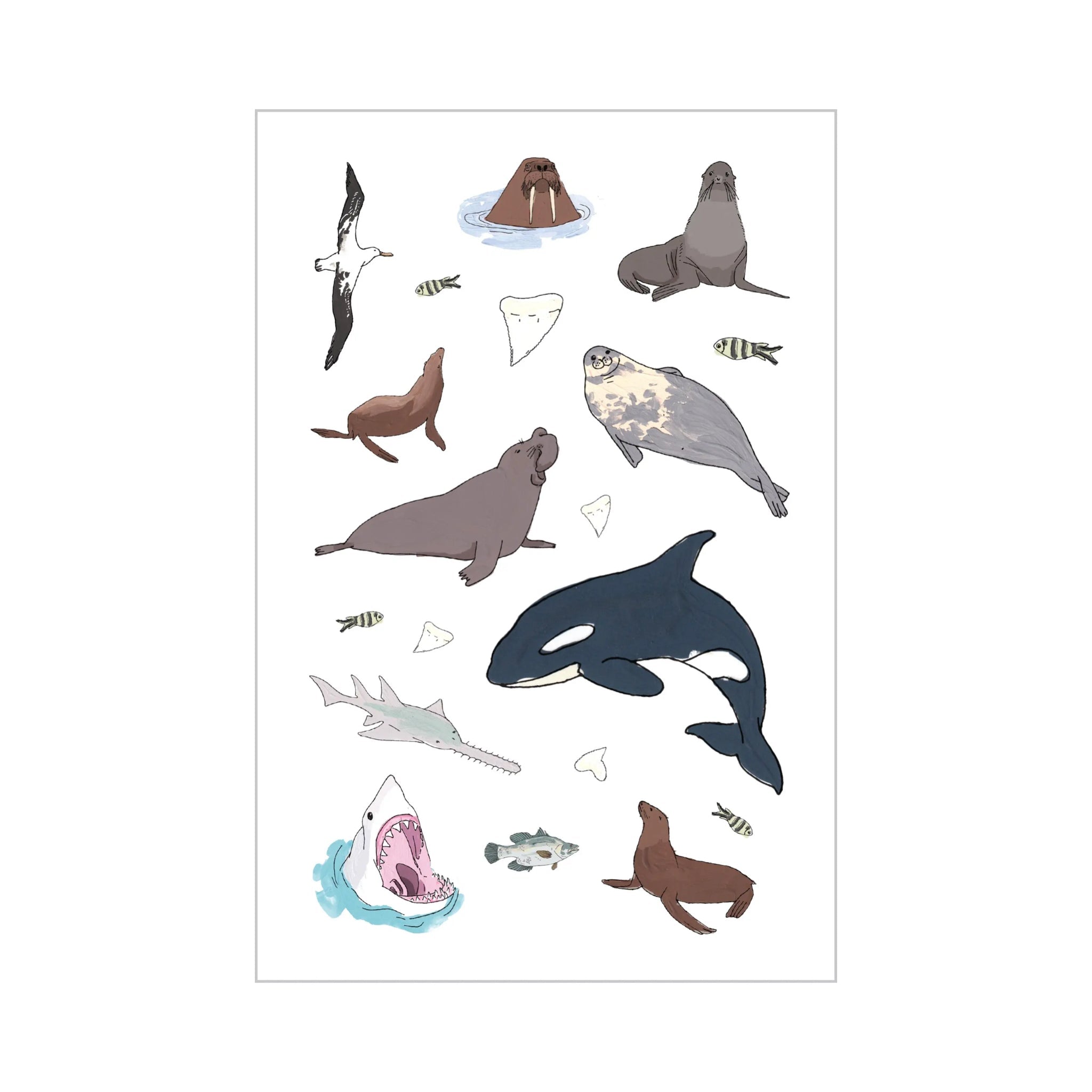 Wildlife Anatomy Sticker Book - bubblegum market