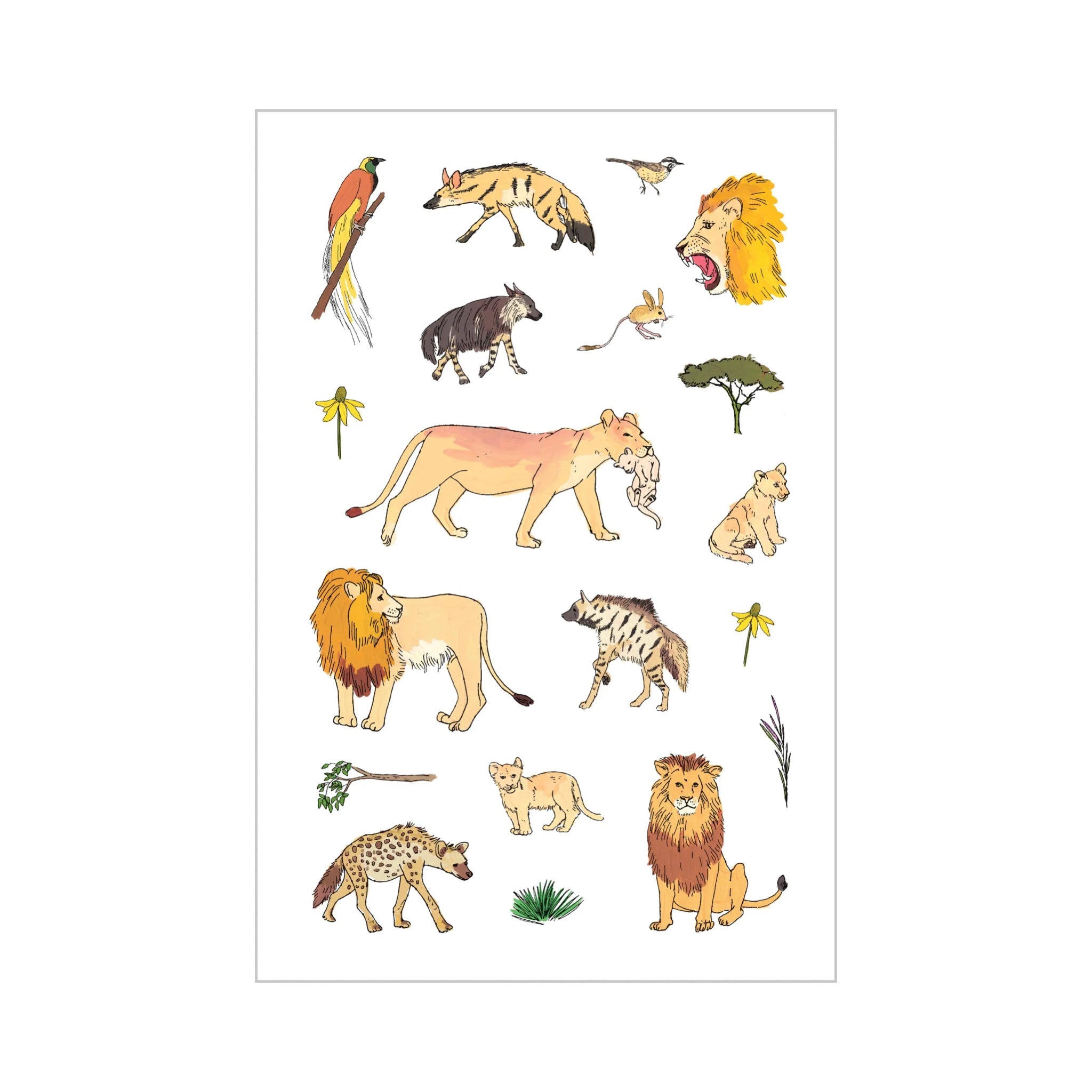 Wildlife Anatomy Sticker Book - bubblegum market