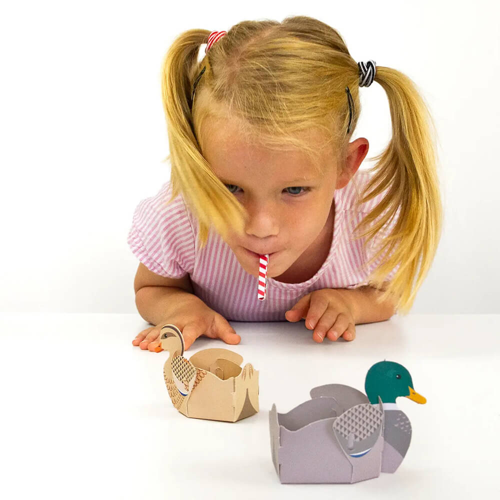 Create Your Own Blow Ducks - bubblegum market