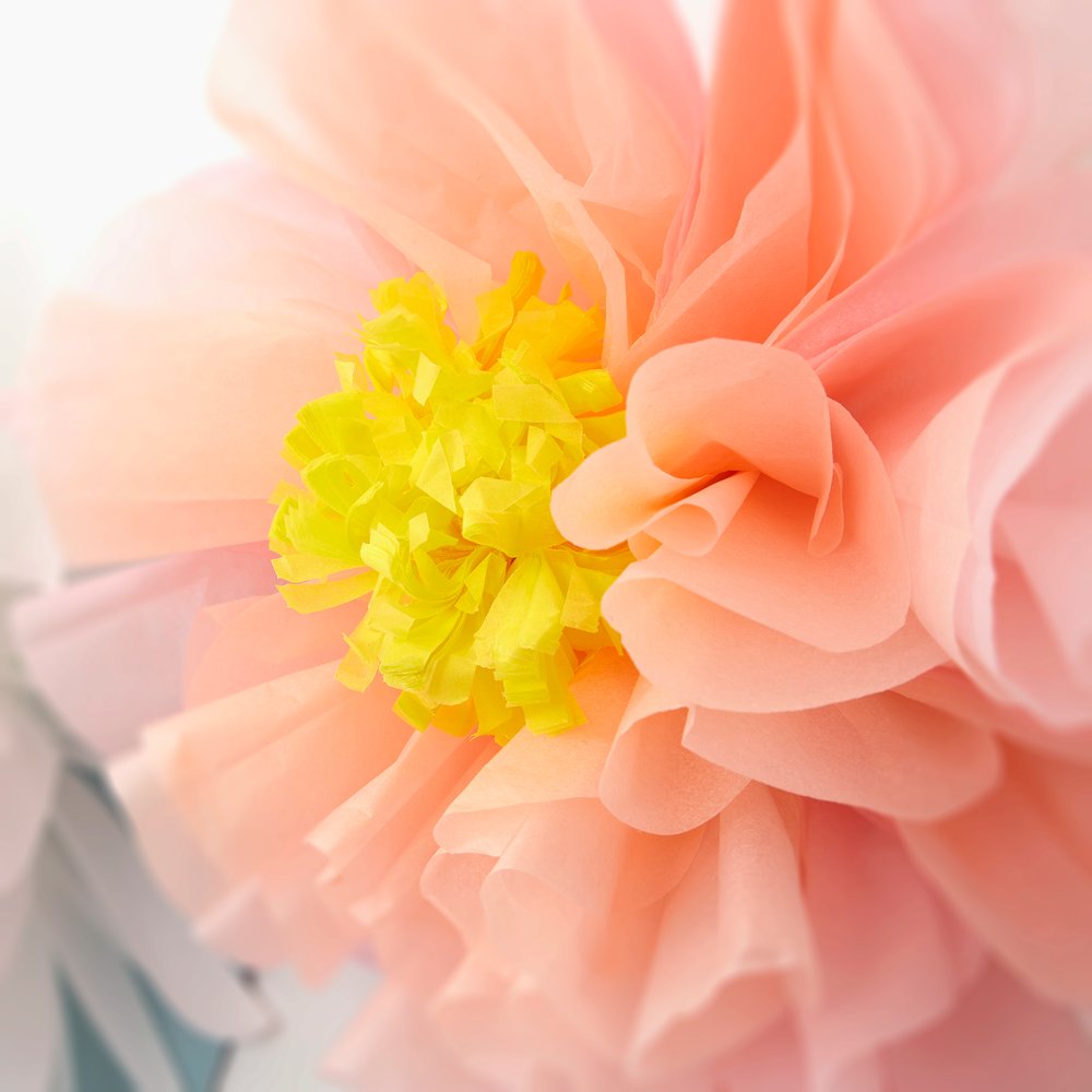 meri-meri-party-flowers-in-bloom-giant-garland-close-up-detail-pink-peach-tissue-paper-flower