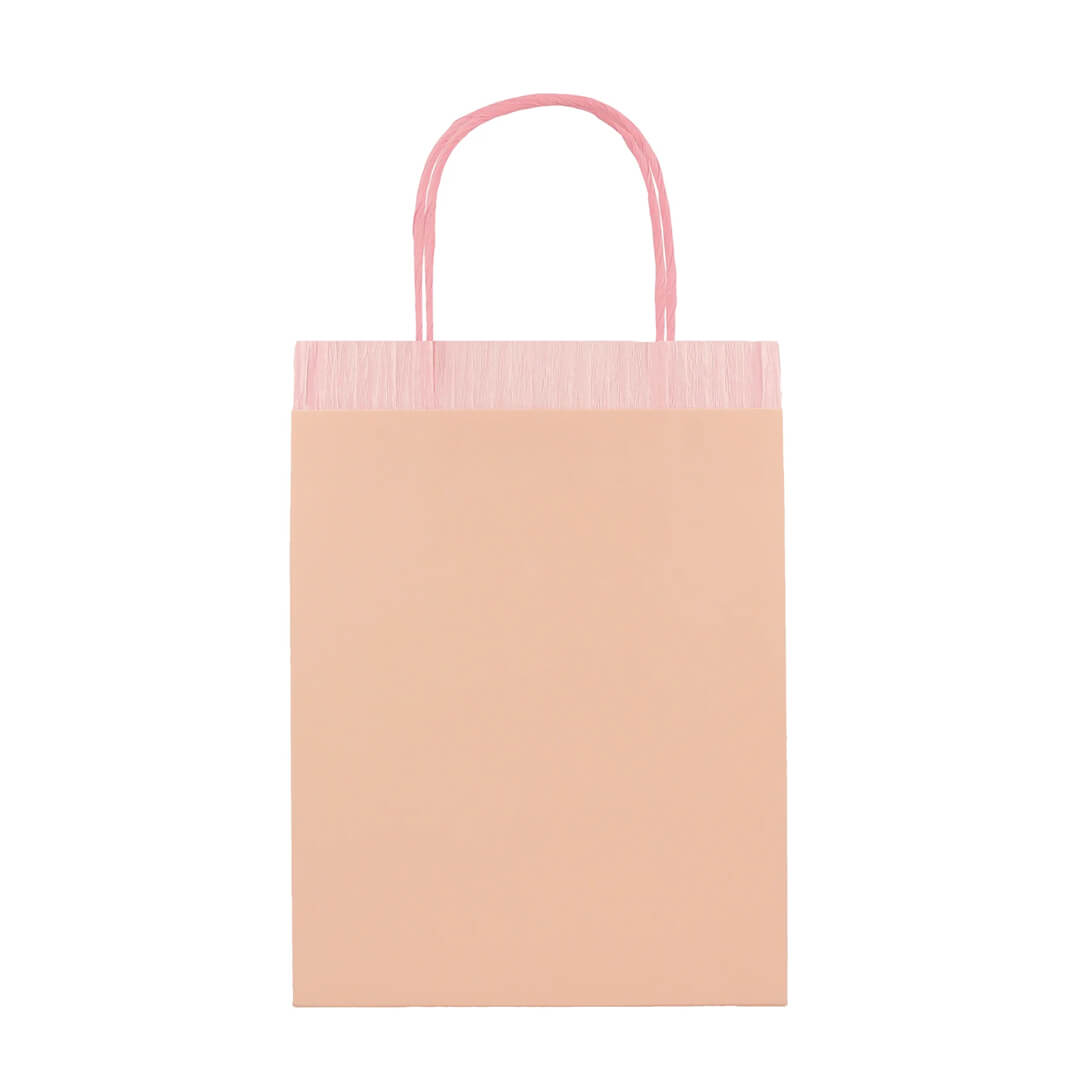 Meri Meri Party Pink Fringe Favor / Treat Bags - bubblegum market