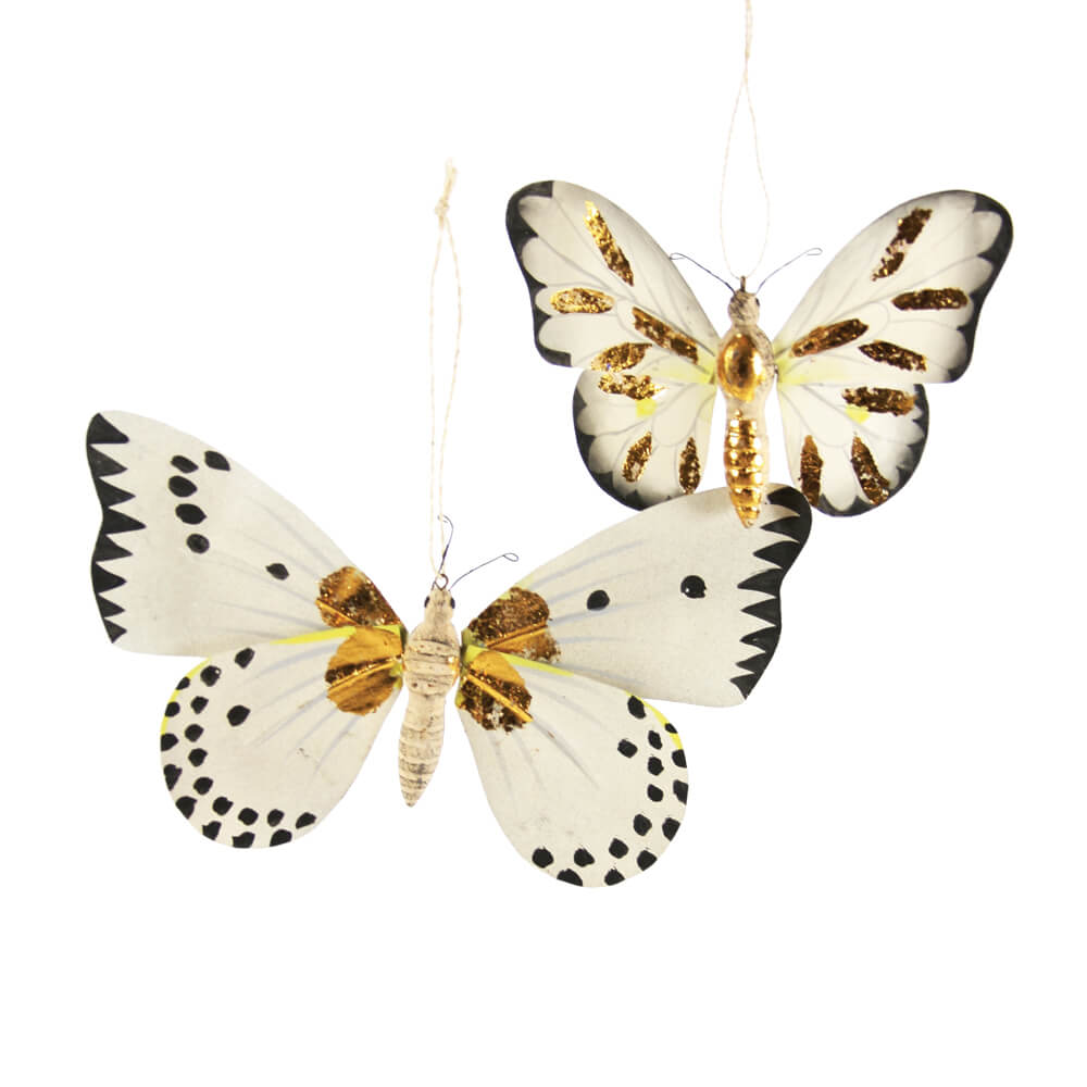 Moth with Gold Markings Ornament 5-7"