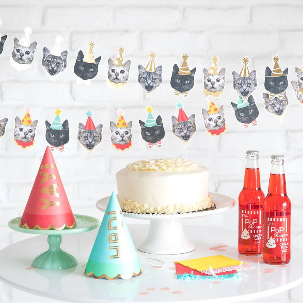 my-minds-eye-party-animals-cat-banner-garland-styled