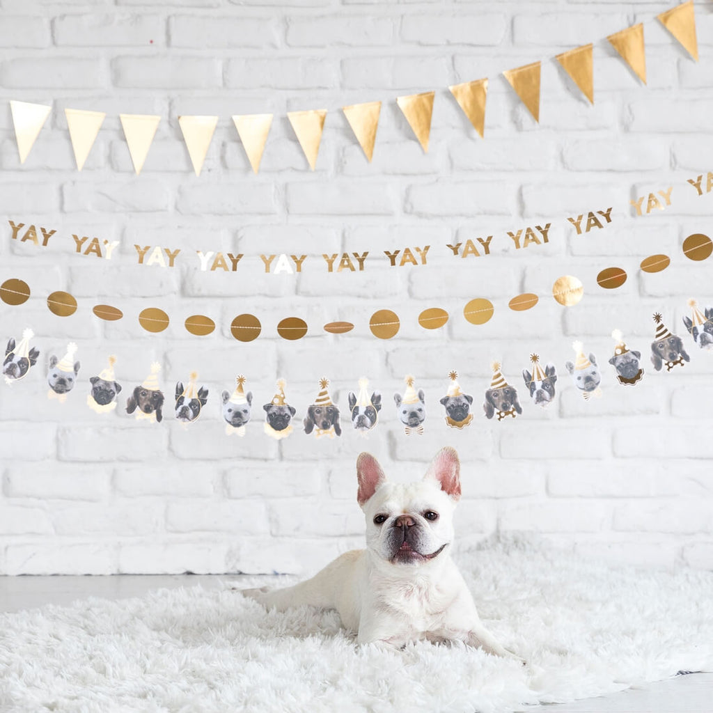 party-animals-dog-banner-my-minds-eye